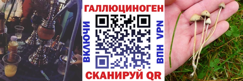 Галлюциногенные грибы GOLDEN TEACHER  Купить закладки  Курганинск 